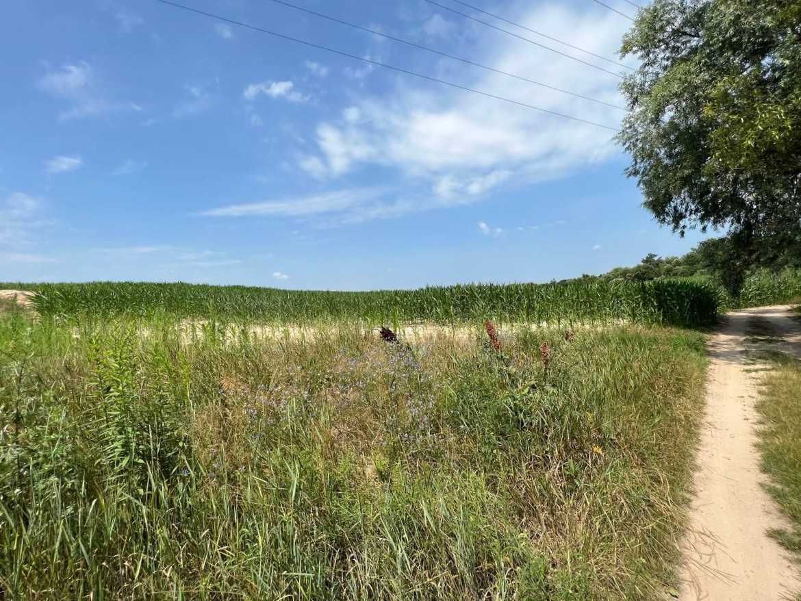 Продаж ділянки 3,11га (ОСГ). Поруч каскад озер.Фастівський р-н. ID:446
