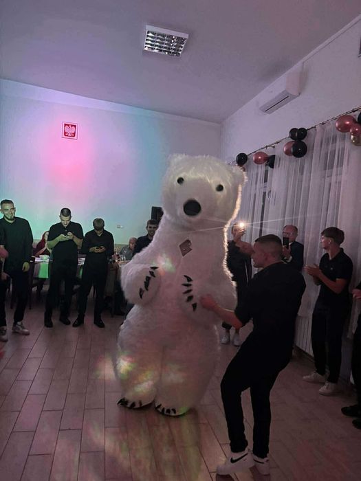 Benek - Biały Miś na twoją imprezę Żywa maskotka