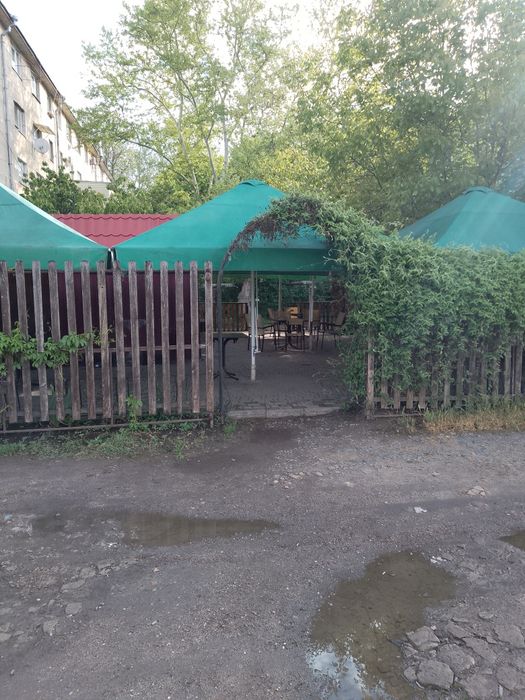 Продам / сдам действующий бизнес