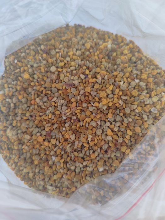 Продам свіжий мед.