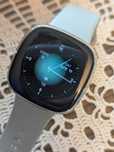 Fitbit Sense — фітнес-годинник із датчиком стресу, ЕКГ та GPS