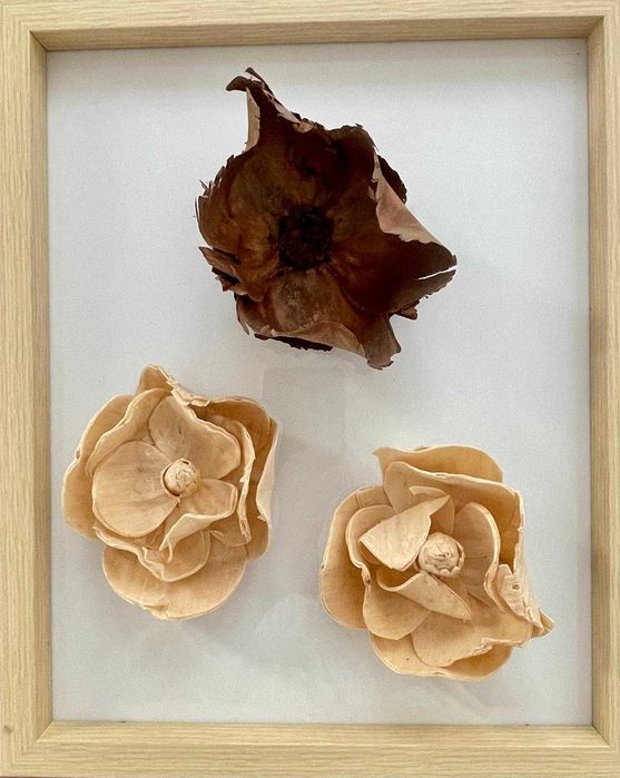 Quadros e molduras