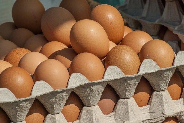 Wiejskie kurze jajka