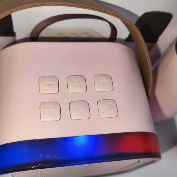 Портативна Bluetooth колонка-караоке із двома мікрофонами