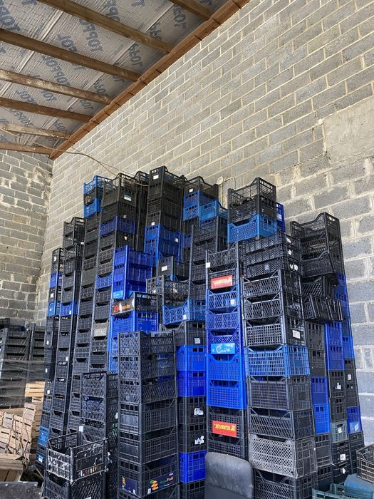 Skrzynki plastikowe na pieczarki