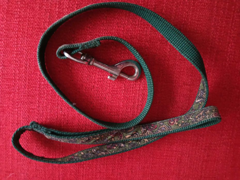 Trela para cão em cor verde com motivos 1m