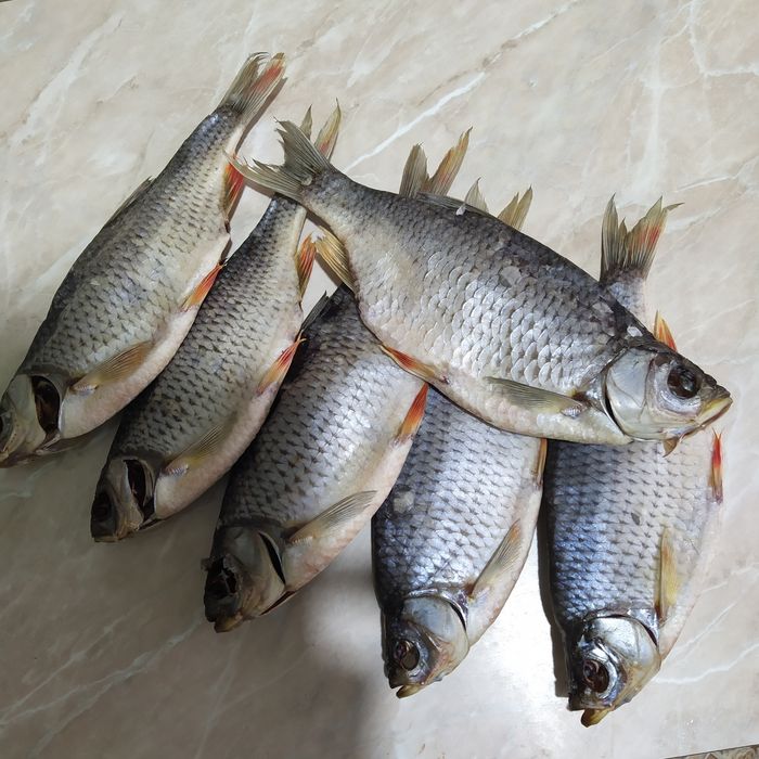 сушена рибка, підлящ, лящ, густера , синець, щука дуже смачна.