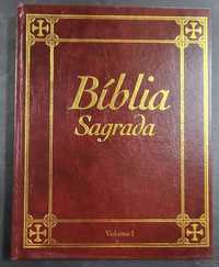 Bíblia Sagrada 15 volumes