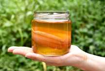 Grzybek herbaciany SCOBY do kombuchy - świeży, aktywny,domowy