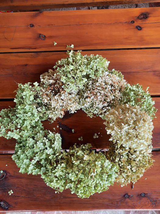 Hortensje suszone Anabell limonkowe na wianki do wazonu.