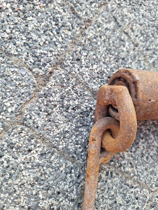 podwiesie do rozbioru półtuszy