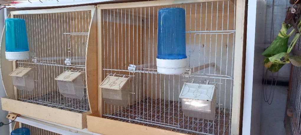 Gaiolas em plastico
