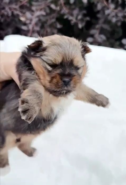 Девочки и мальчики. Миники