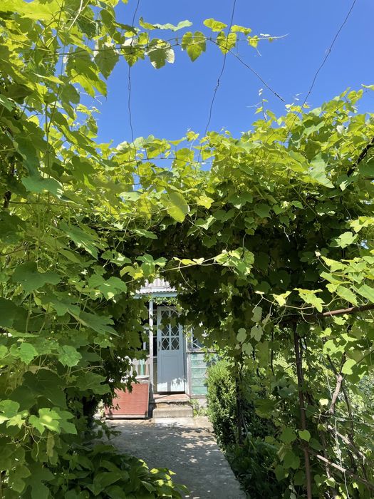 Продам дачу в Канівському заповіднику