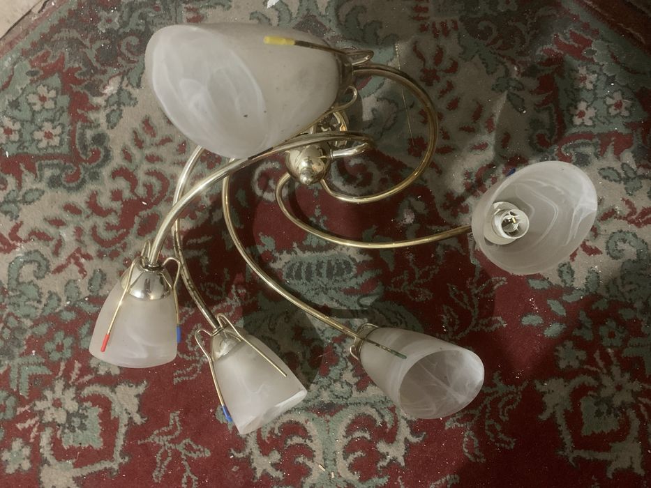 Żyrandol 5 żarówkowy