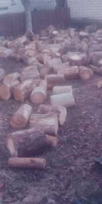 Продам дрова любих порід різані, рубані та обрізки.