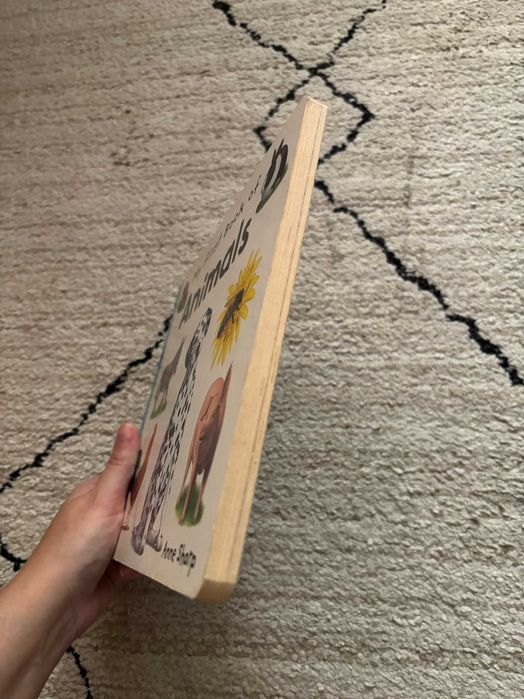 Książki po angielsku dla przedszkolaka