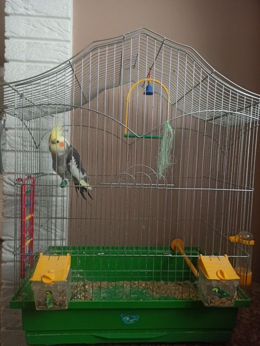 Клітка для попугая. 1400грн.