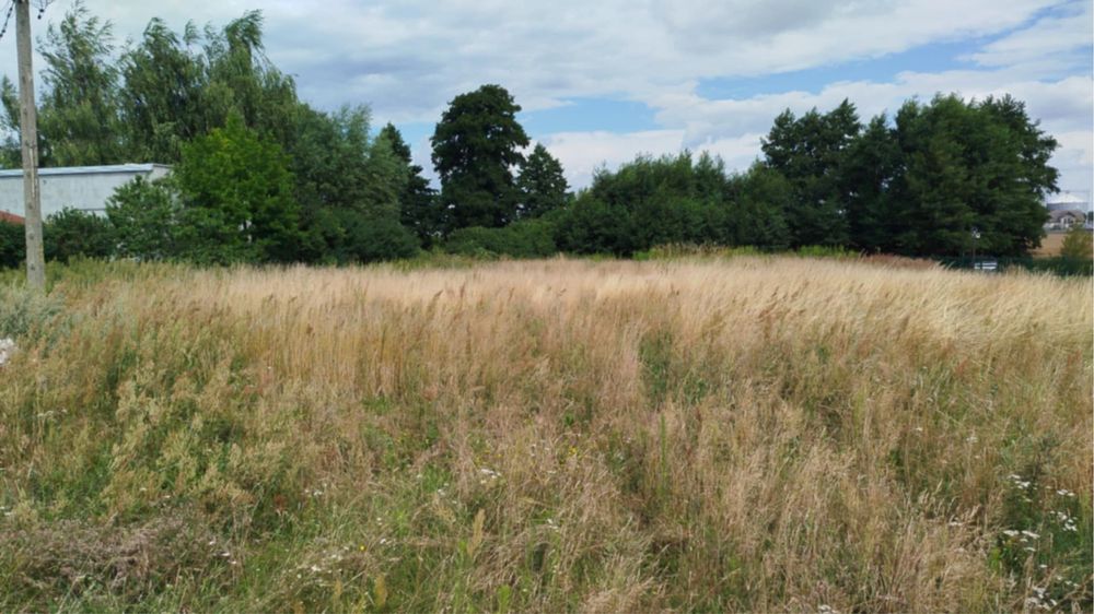 Sprzątanie działki, ogrodów, karczowanie zieleni