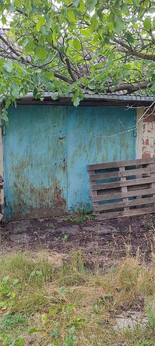 Дача біля лісу з великим дворищем та ділянкою 60 сот