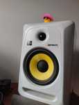 Monitory studyjne Rokity rp6 G3 [ 2 szt ]