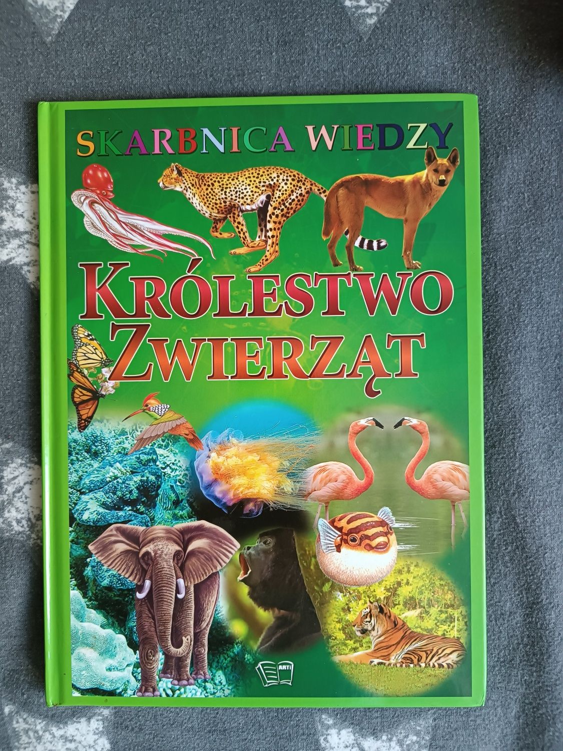 Królestwo zwierząt