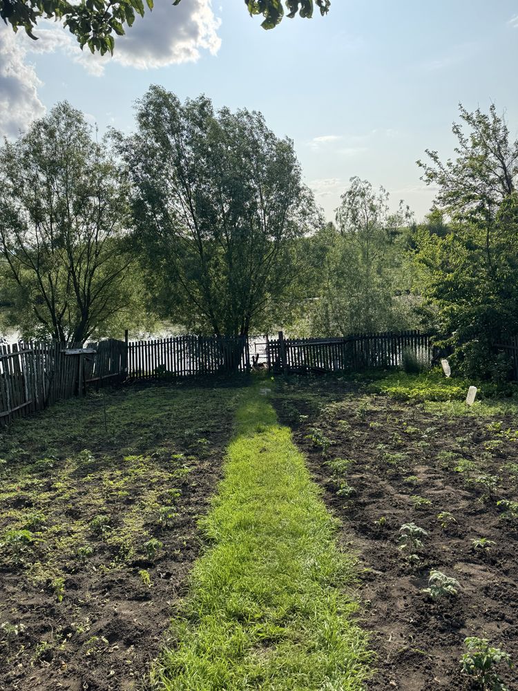 Продам дачний будинок з земельною ділянкою