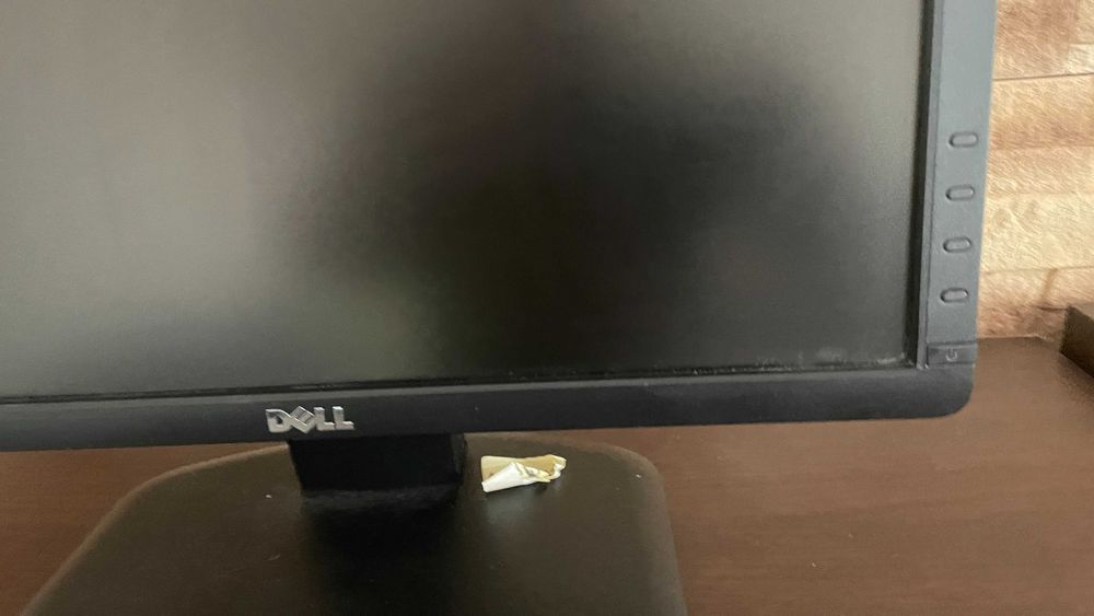 Monitor Dell E1913SF
