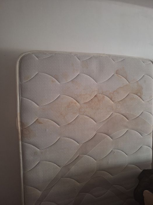 Cama e colchão solteiro 110X200