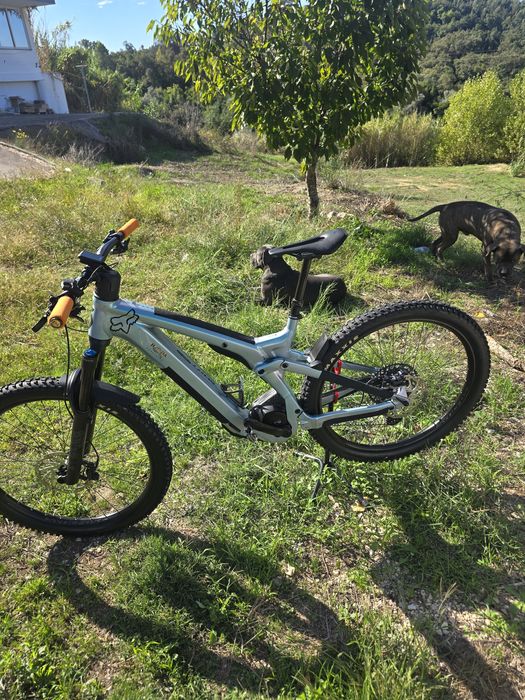 Scott patron eride 910