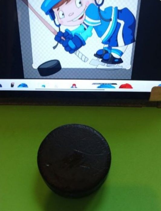 Шайба хокейна б.в.