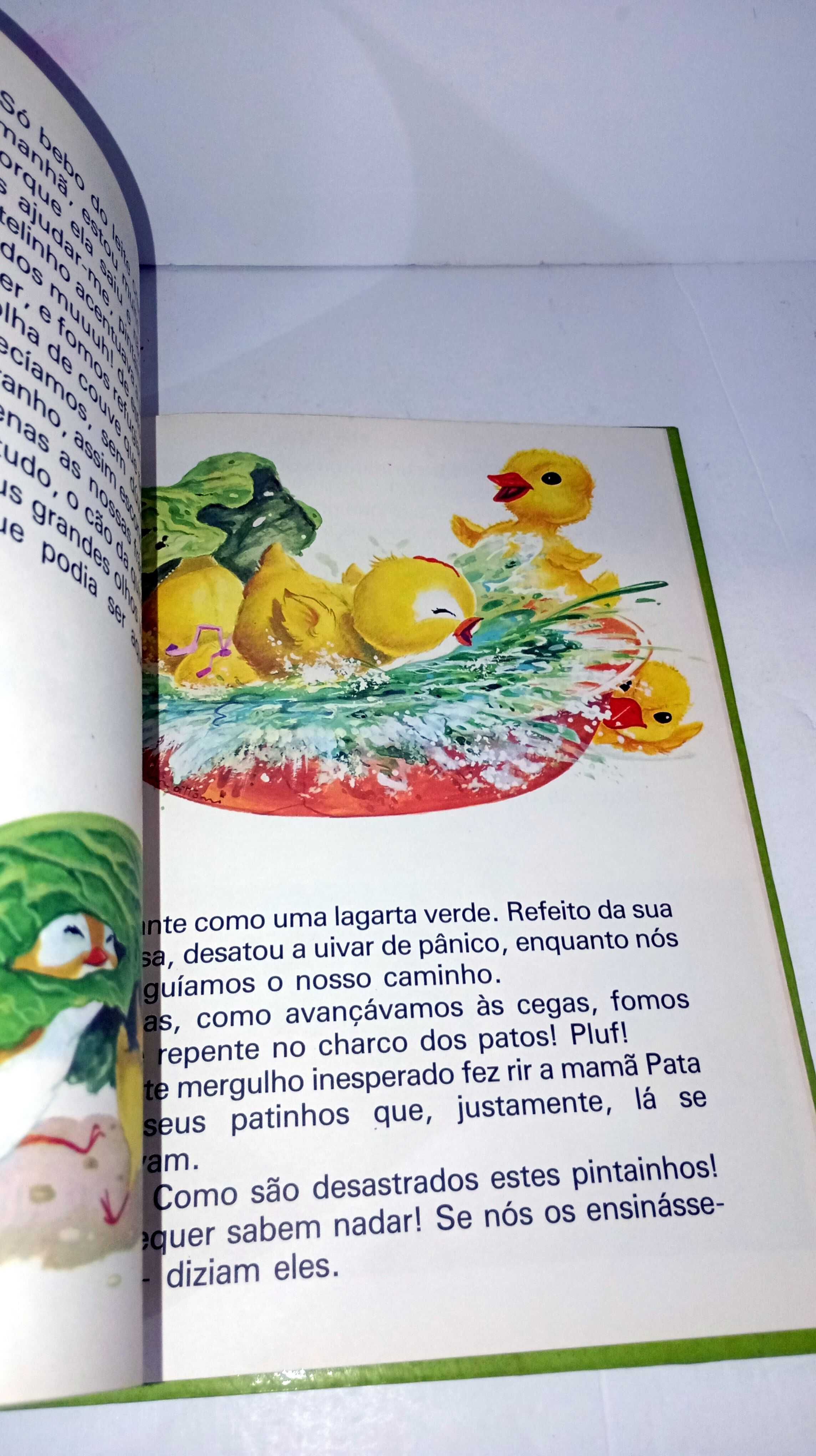 As Aventuras de Pintainho
