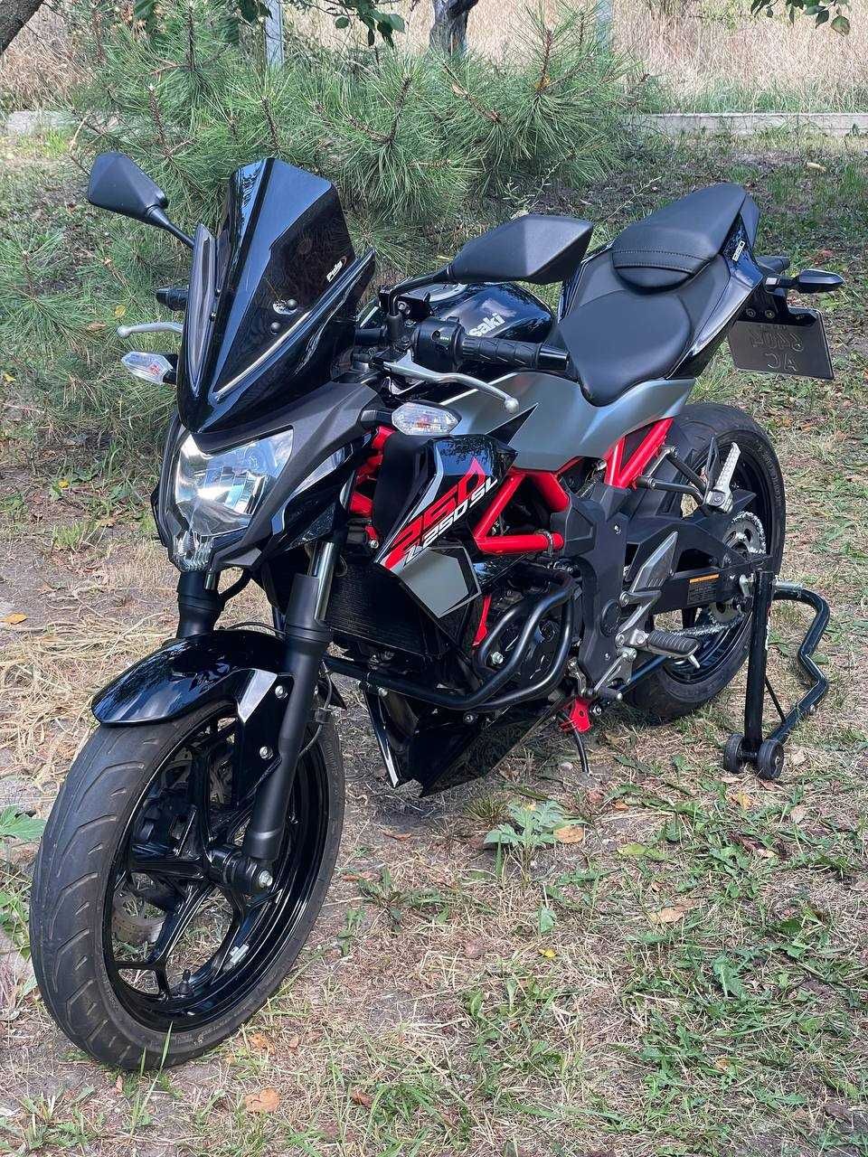Kawasaki Z 250SL 2018
