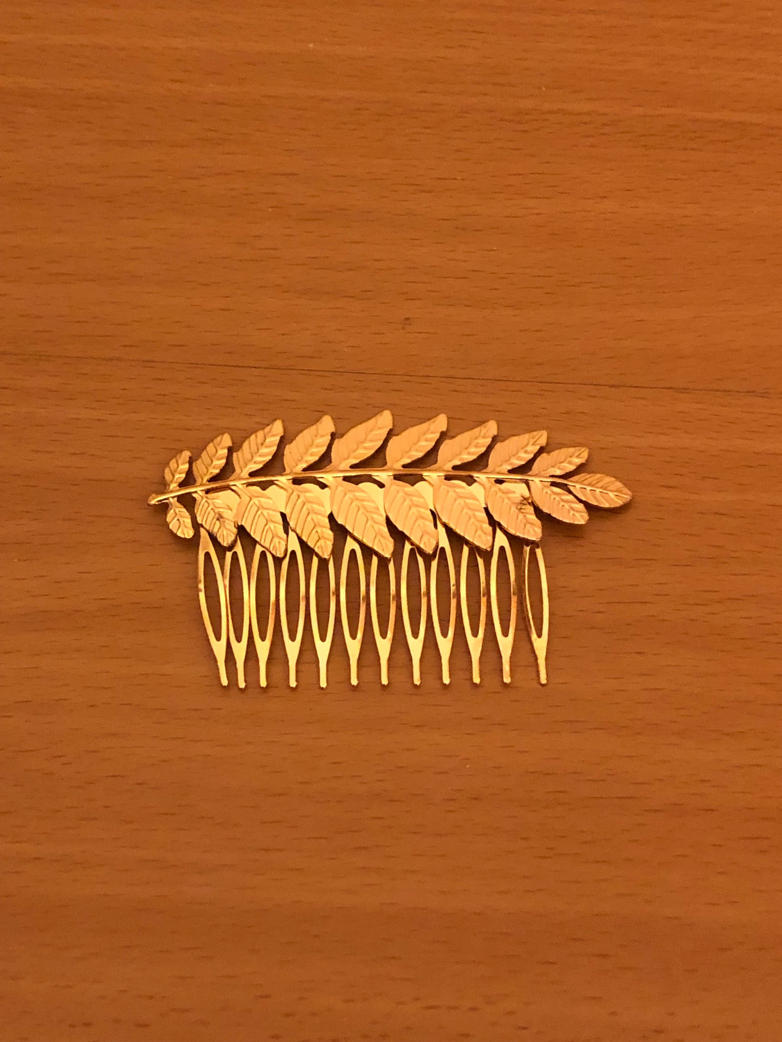 Gancho para cabelo
