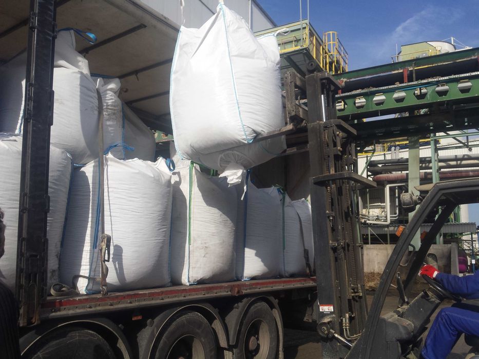 ZIARNO Lucerny Transport Kurierem Lucerna Oczyszczone Nasiona Lucernę