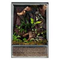 Terrarium tropikalne gekon