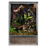 Terrarium tropikalne gekon