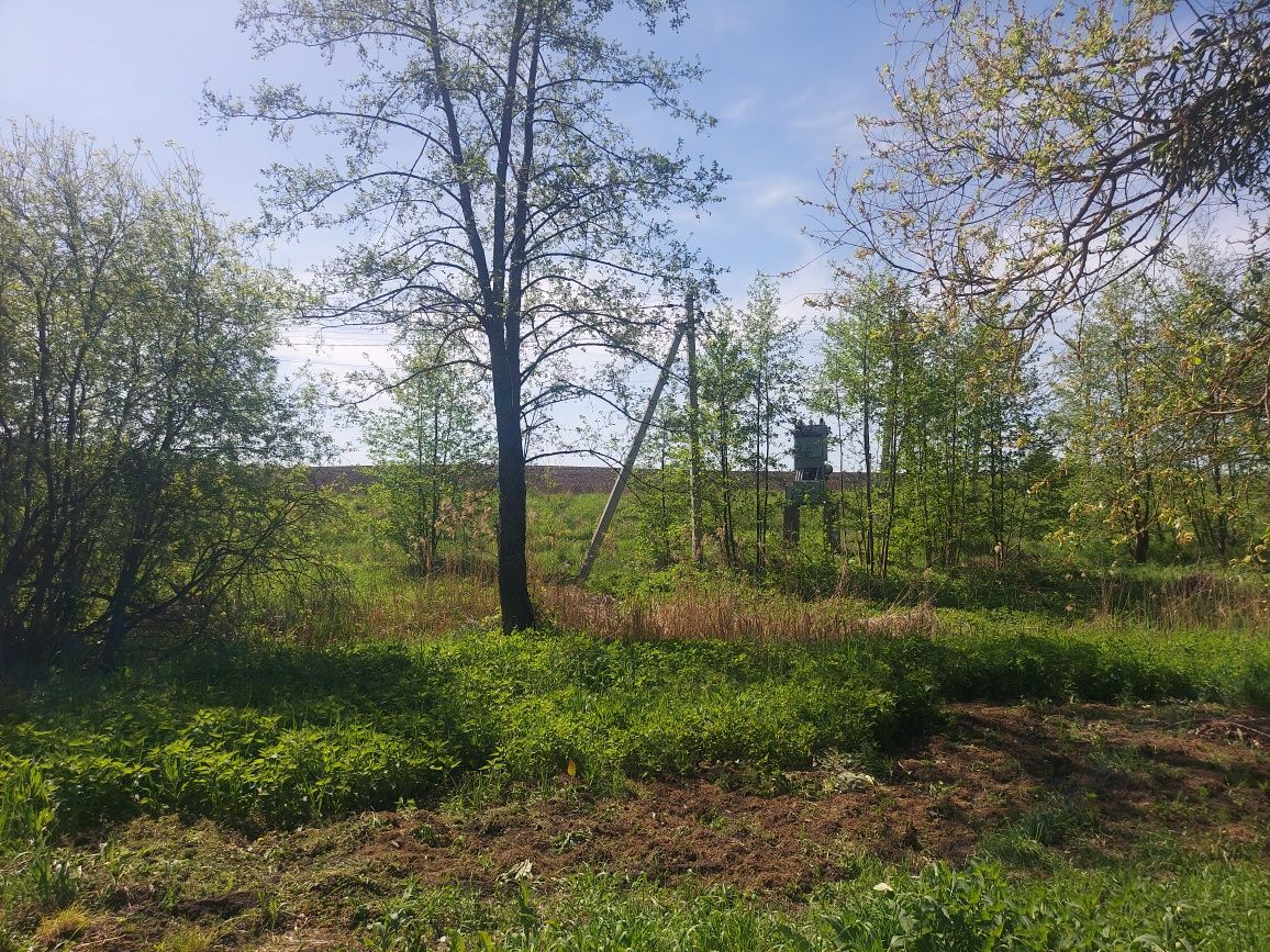 Продаж ділянки 50 соток с.Млинище (26144870)