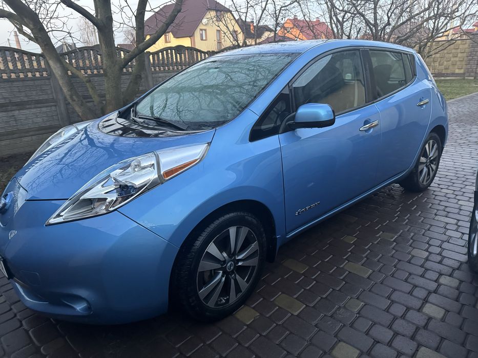 Двері Ліф , двері Nissan Leaf , дверь Leaf