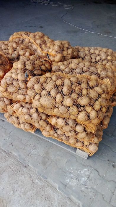 Sprzedam Ziemniaki Jadalne