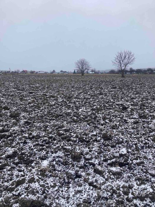 Земельна ділянка с. Вербовець, Косівського району