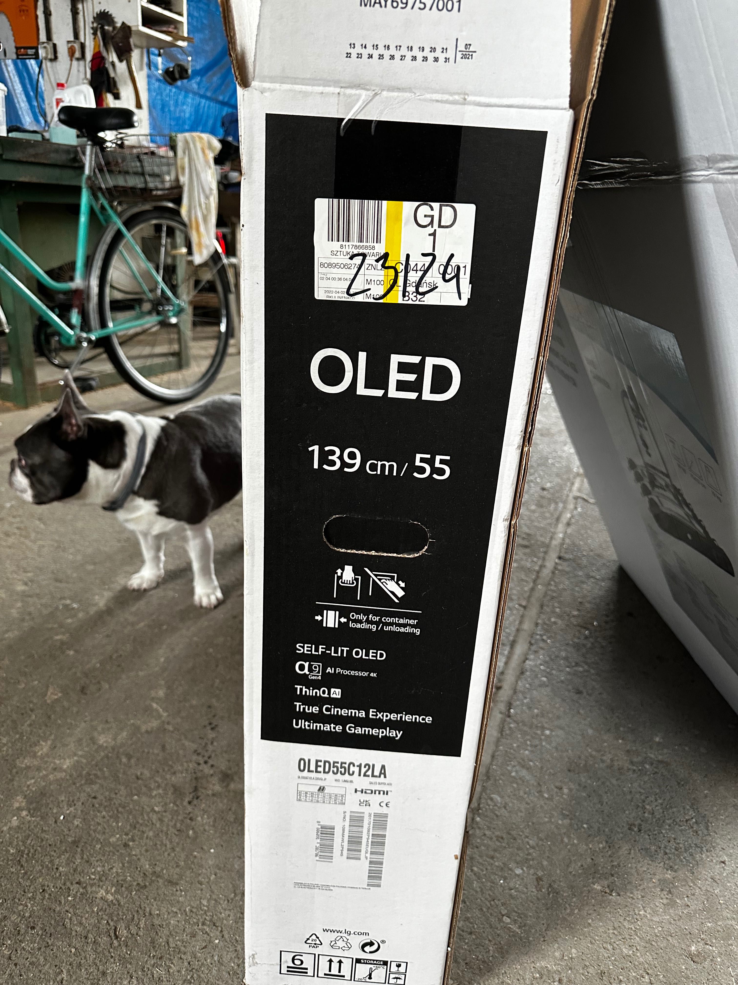 LG OLED C1 55 cali
