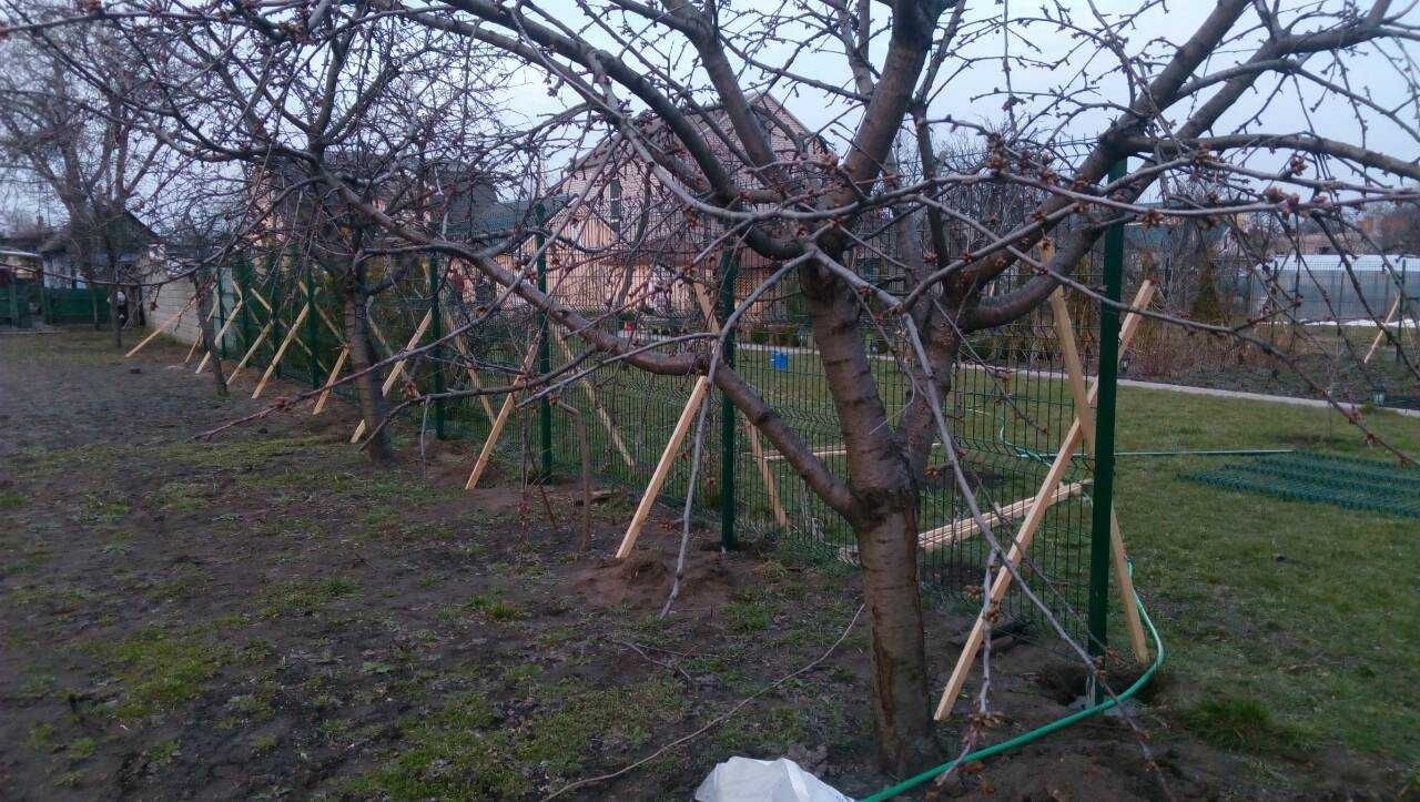Установка и монтаж забора из 3д евросетки в Днепре под ключ