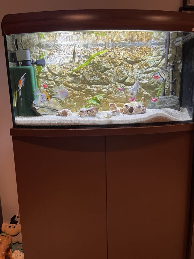 Akwarium DIversa 200litrow