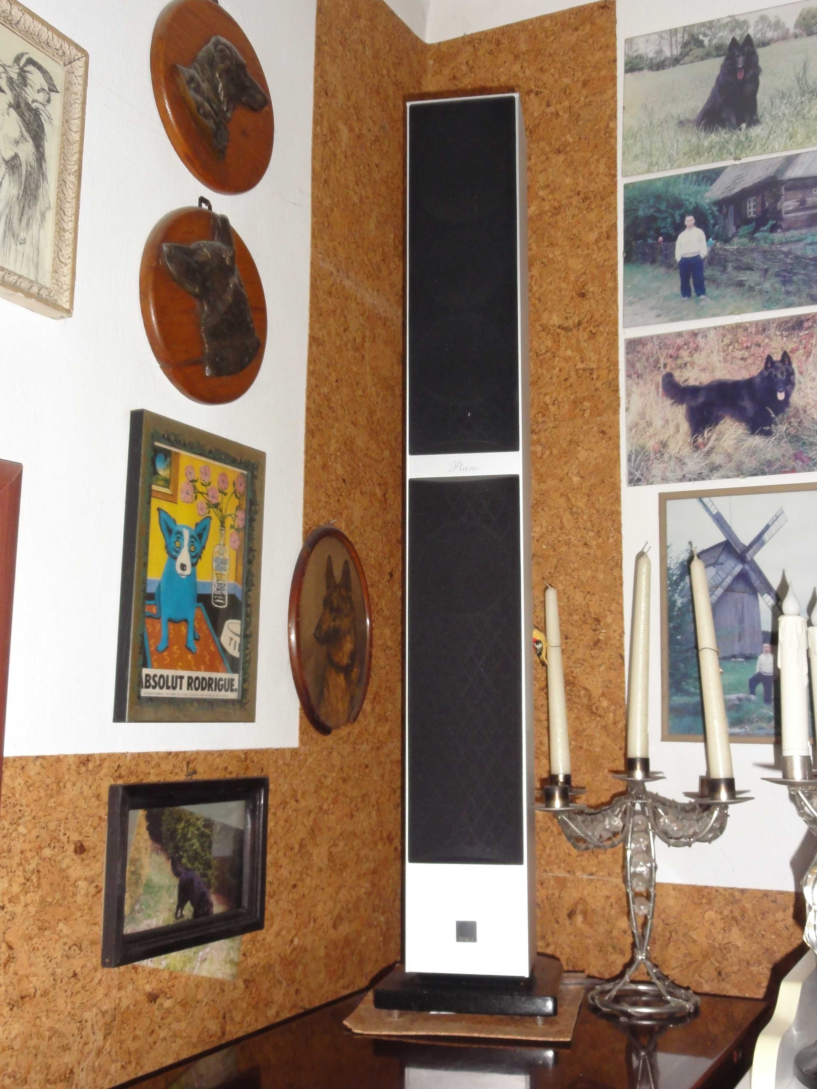 Kolumny aluminiowe Dali Piano