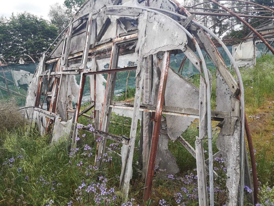 Tunel foliowy ocynk 30x6