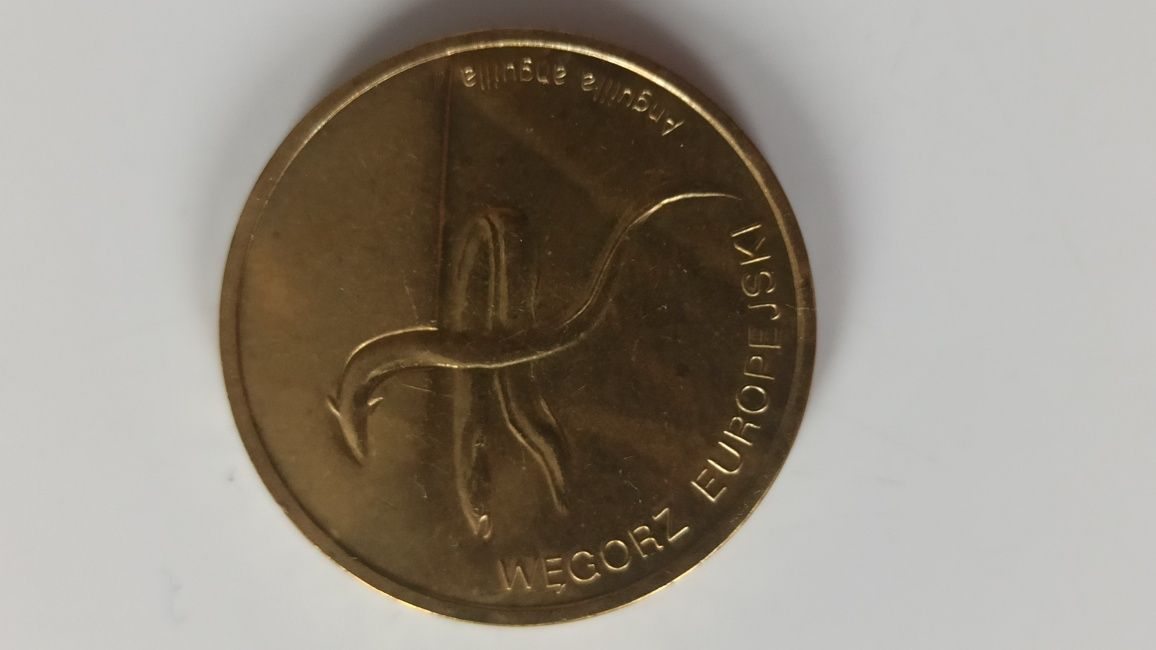 Moneta 2 zł - węgorz europejski