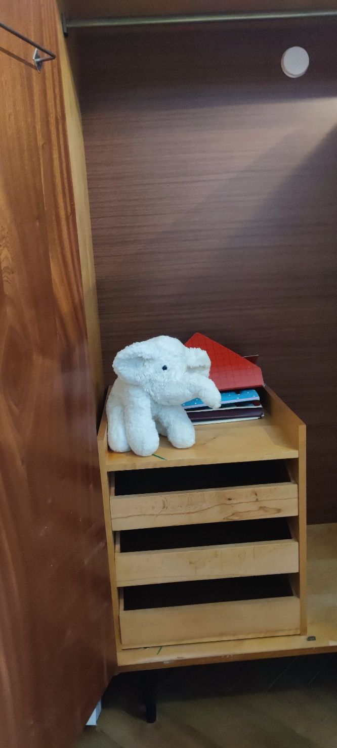 Szafa 2 drzwiowa z lustrem i 3 szufladami . okres PRL, Gdańsk