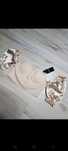 Cropp top Misspap