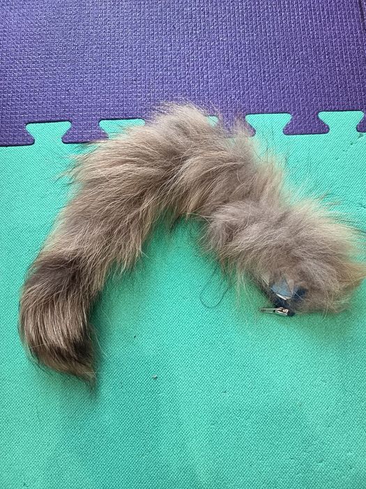 Зимовий костюм Lassy